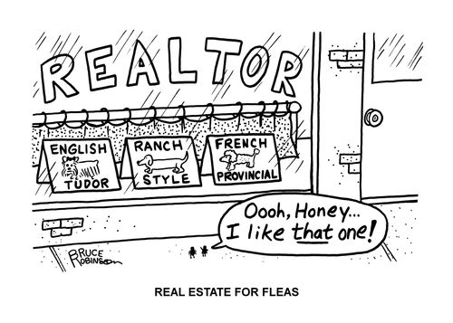 Real Estate For Fleas