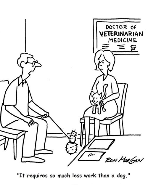 "It requires so much less work than a dog."