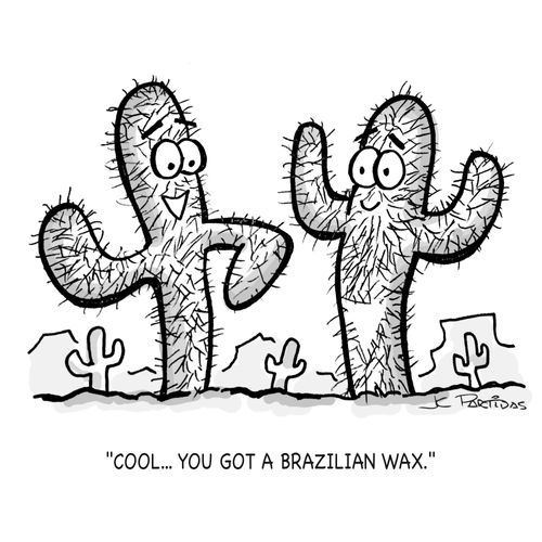 "Cool... You got a Brazilian Wax."