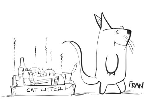Cat Litter
