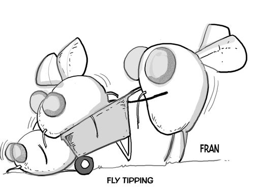 Fly Tipping