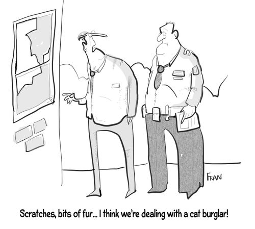 "Scratches, bits of fur...I think we're dealing with a cat burglar!"