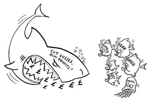 Shark