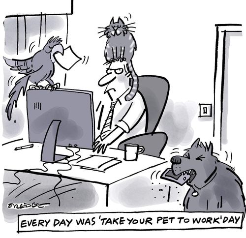 Every day was 'Take Your Pet To Work' day."