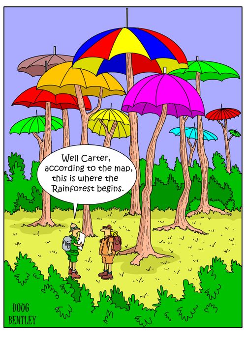 "Well Carter, according to the map, this is where the Rainforest begins."