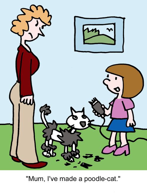 "Mum, I've made a poodle-cat."