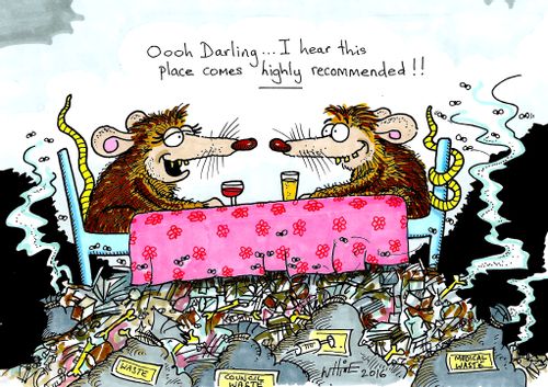 "Oooh Darling....I hear this place comes highly recommended!!"