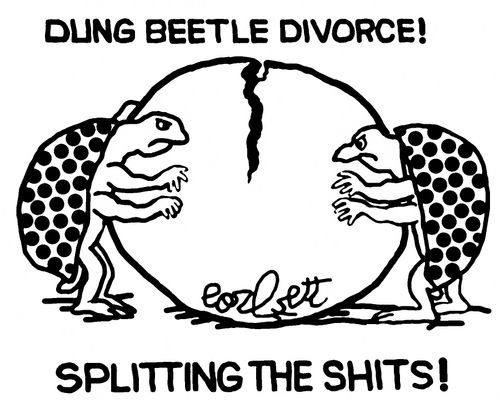 Dung Beetle Divorce! Splitting the shits!