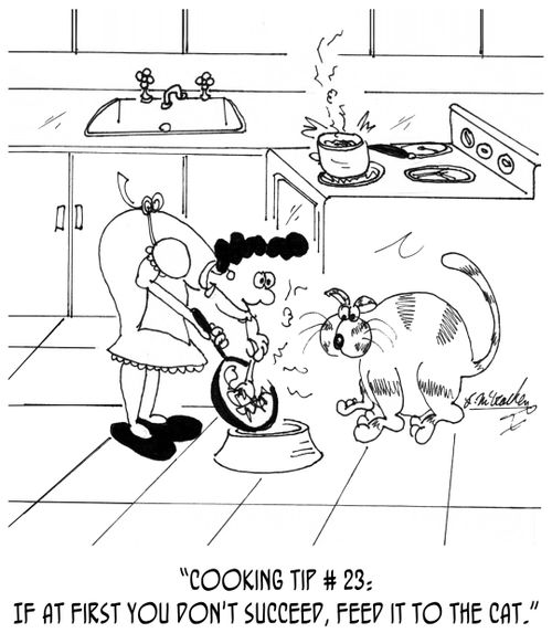 "Cooking Tip # 23: If at first you don't succeed, feed it to the cat."