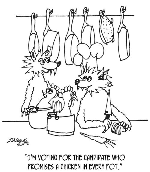 "I'm voting for the candidate who promises a chicken in every pot."