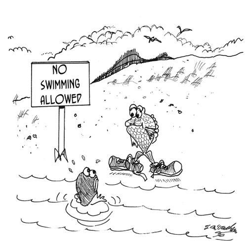 No Swimming Allowed