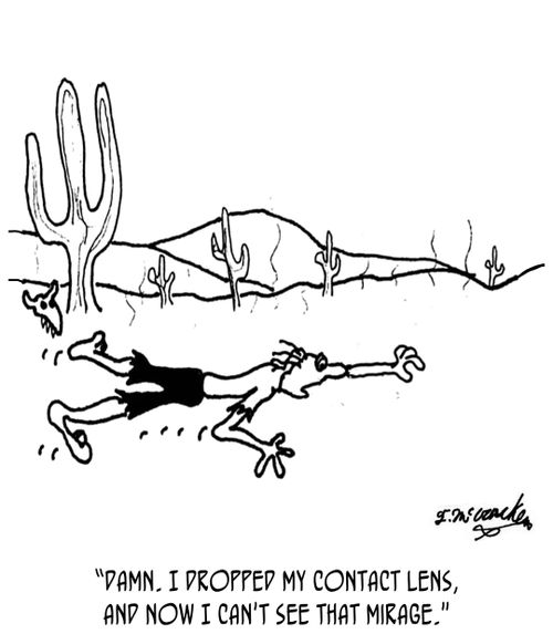 "Damn. I dropped my contact lens, and now I can't see that mirage."
