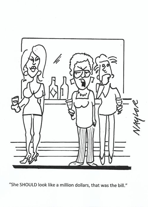 "She SHOULD look like a million dollars, that was the bill."