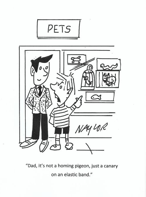 "Dad, it's not a homing pigeon, just a canary on an elastic band."
