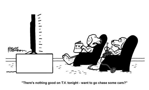 "There's nothing good on T.V. tonight - want to go chase some cars?"