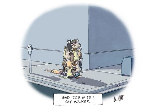 Bad Job #631: Cat walker