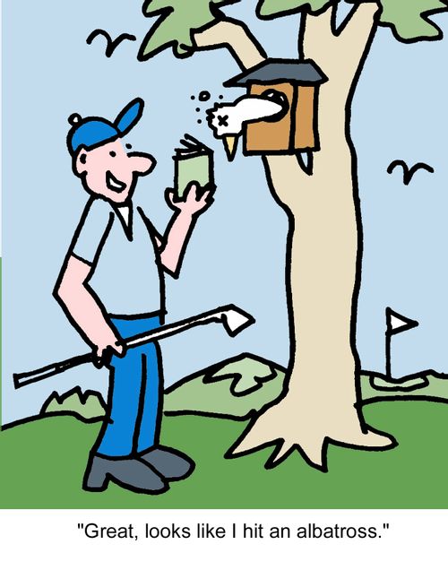 "Great, looks like I hit an albatross."