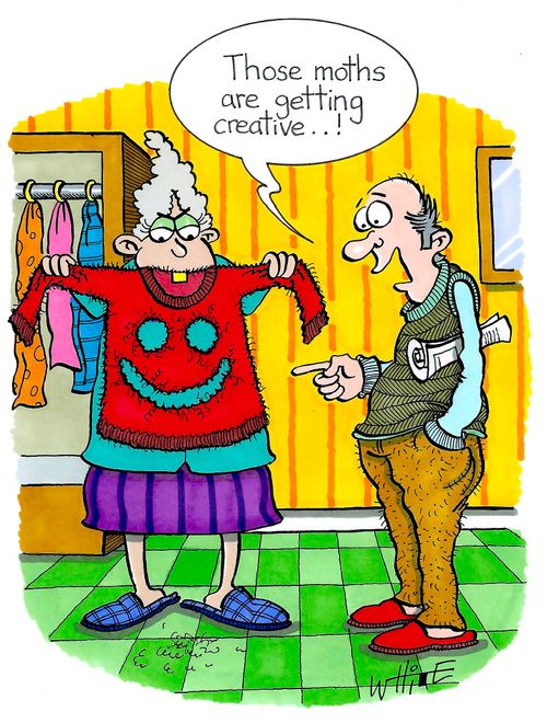 "Those moths are getting creative...!"