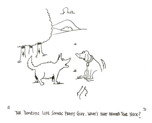 "The domestic life sounds pretty cozy. What's that around your neck?"