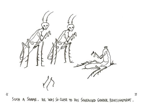 "Such a shame. He was so close to his scheduled gender reassignment."