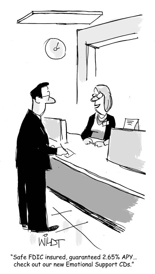 "Safe FDIC insured, guaranteed 2.65% APY...check out our new Emotional Support CDs."