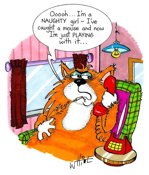 "Ooooh....I'm a naughty girl - I've caught a mouse and now I'm just playing with it..."