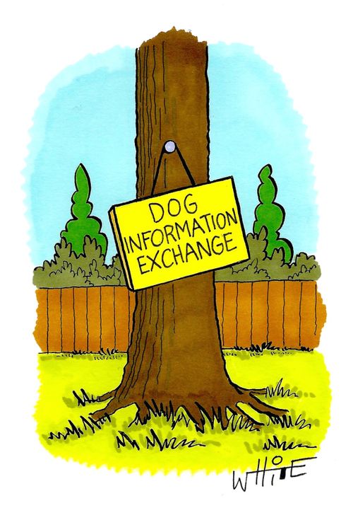 Dog Information Exchange