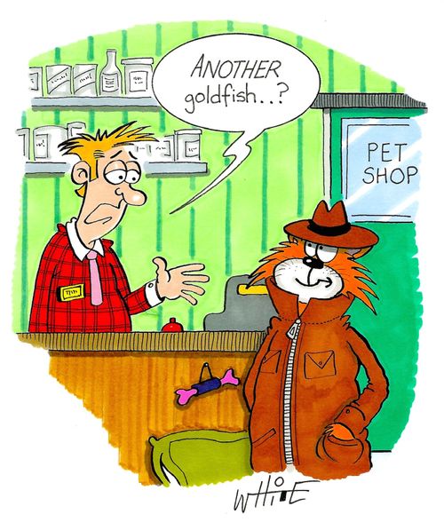 "Another goldfish...?"
