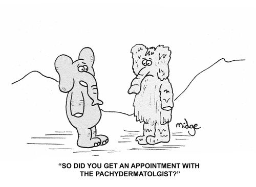"So did you get an appointment with the pachydermatologist?"