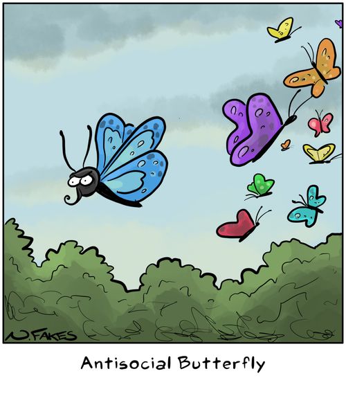 Anisocial Butterfly