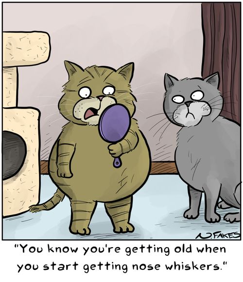 "You know you're getting old when you start getting nose whiskers."