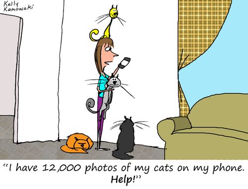 "I have 12,000 photos of my cats on my phone. Help!"