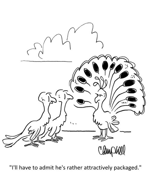 "I'll have to admit he's rather attractively packaged."