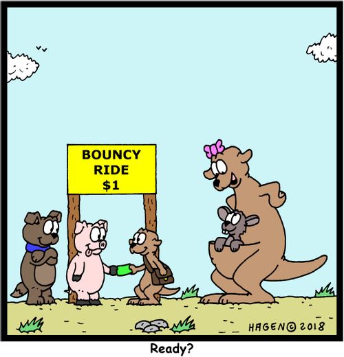 Kangaroo Bouncy Ride