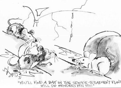 "You'll find a day in the sewage treatment plant will do wonders for you."