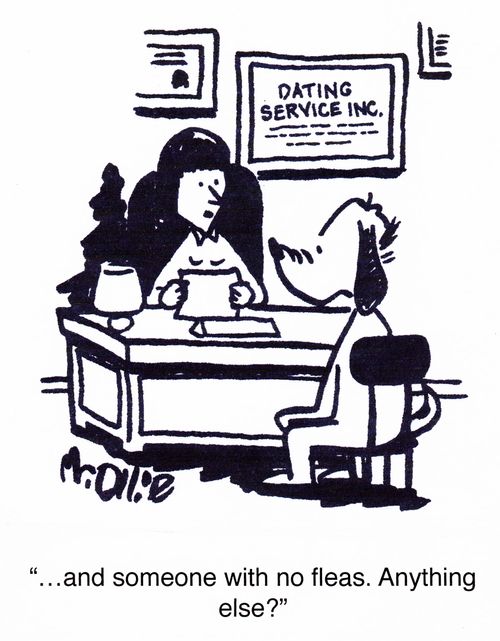 "...and someone with no fleas. Anything else?"