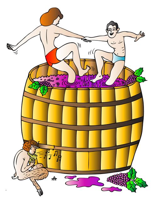 Wine Making