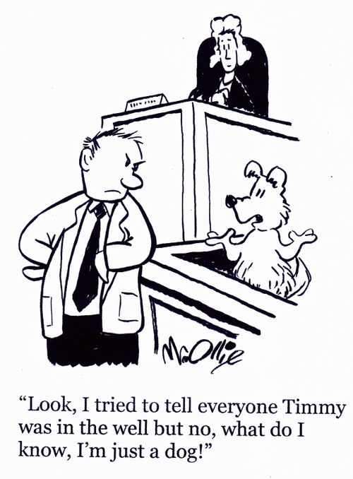 "Look, I tried to tell everyone Timmy was in the well but no, what do I know, I'm just a dog!"