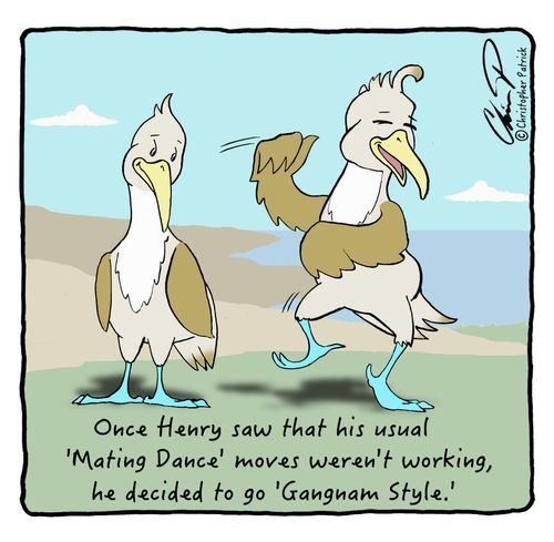 Once Henry saw that his usual 'Mating Dance' moves weren't working, he decided to go 'Gangnam Style.'
