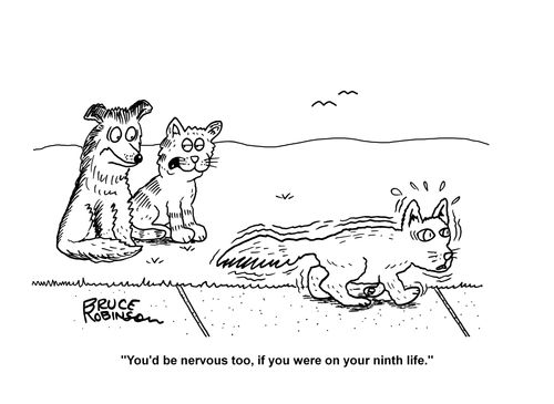 "You'd be nervous too, if you were on your ninth life."
