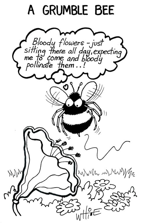A Grumble Bee