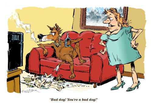 "Bad dog! You're a bad dog!"