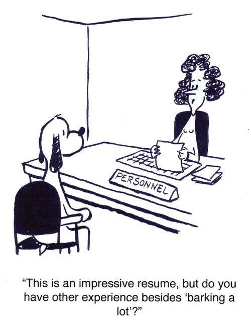 "This is an impressive resume, but do you have other experience besides 'barking a lot'?"