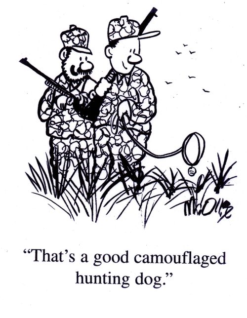 "That's a good camouflaged hunting dog."