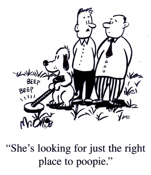 "She's looking for just the right place to poopie."
