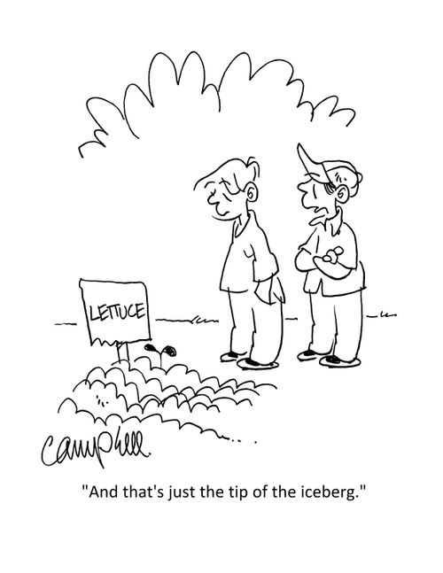 "And that's just the tip of the iceberg."