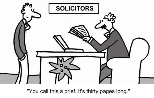 "You call this a brief. It's thirty pages long."