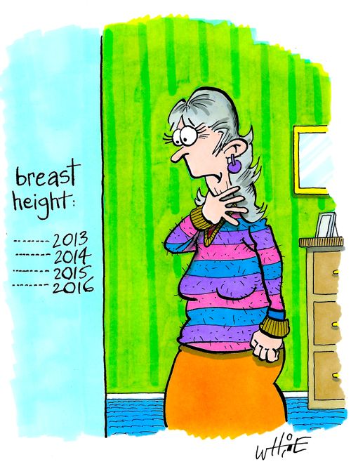 Breast Height Chart