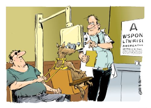 Seeing Eye Dog at the Optician
