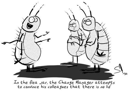 "In the flea jar, the Change Manager attempts to convince his colleagues that 'there is no lid'.